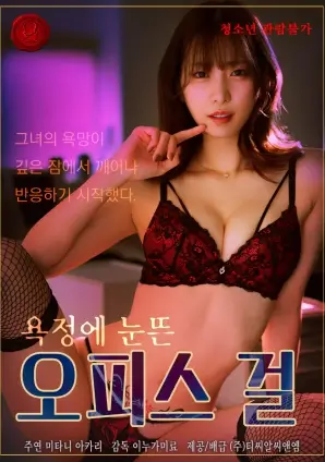 回声岛 手机免费在线观看